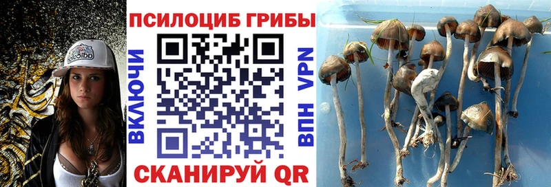 Галлюциногенные грибы MAGIC MUSHROOMS Новомичуринск